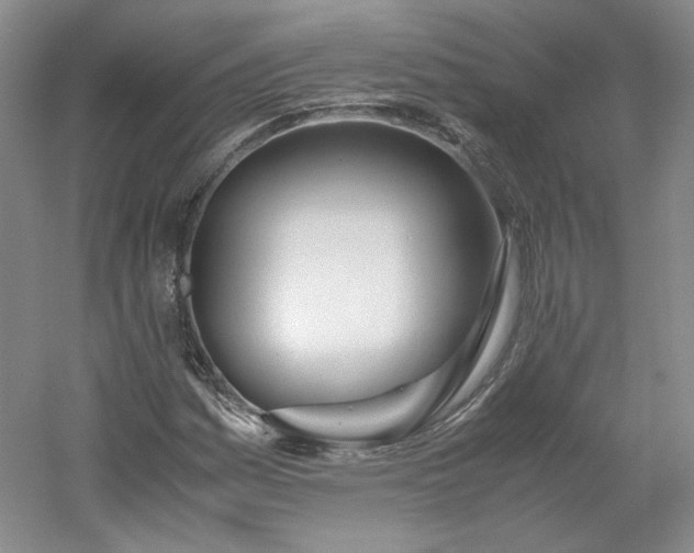 X0000053071161200507251452