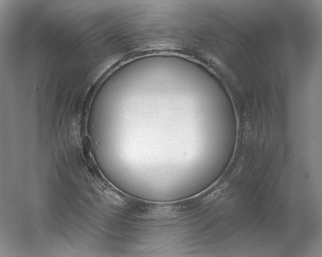 X0000053071162200507251452