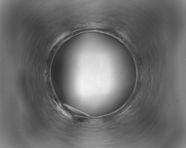 X0000053071163200507251452