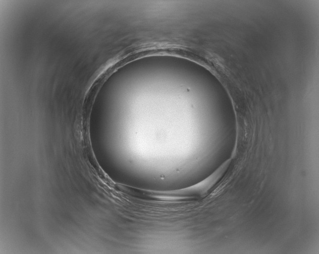 X0000053071165200507251452