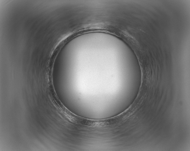 X0000053071166200507251452