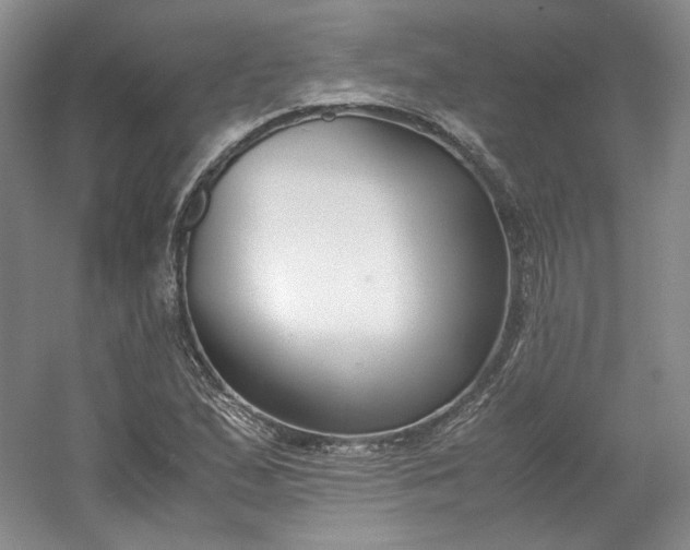 X0000053071167200507251452