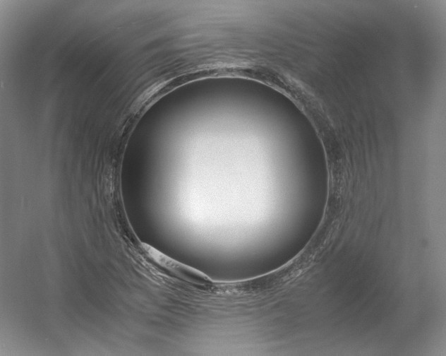 X0000053071169200507251452