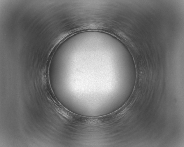 X0000053071170200507251452