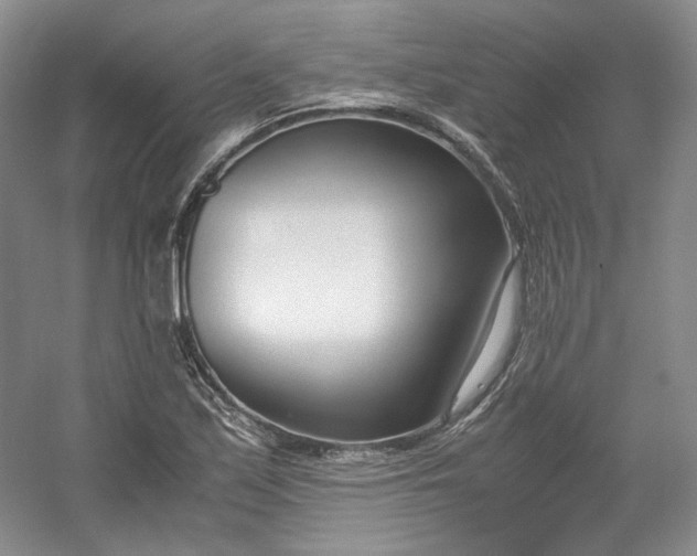 X0000053071171200507251452