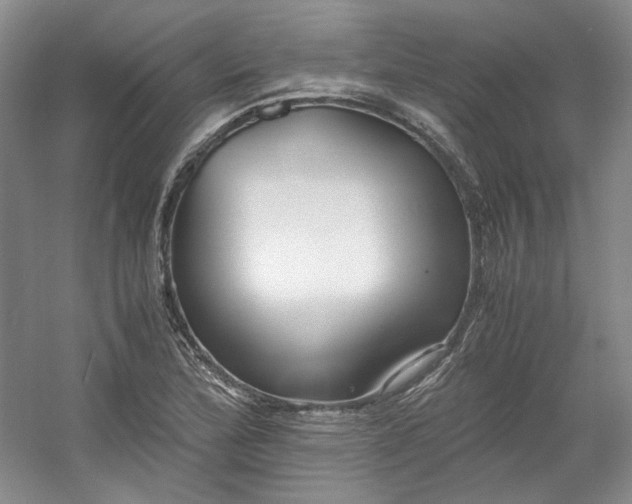 X0000053071172200507251452