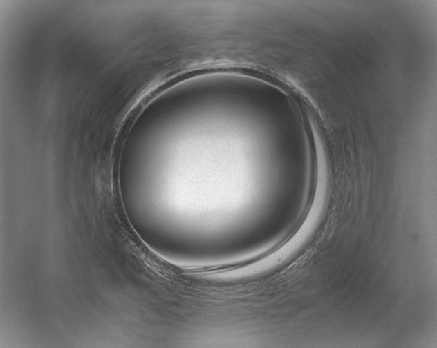 X0000053071173200507251452