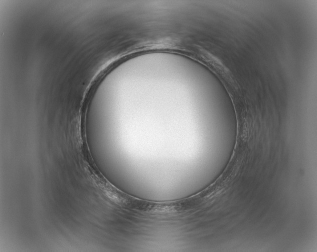 X0000053071174200507251452