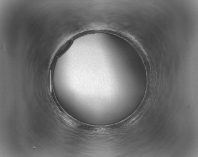 X0000053071175200507251452