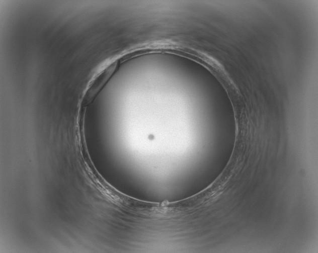 X0000053071176200507251452