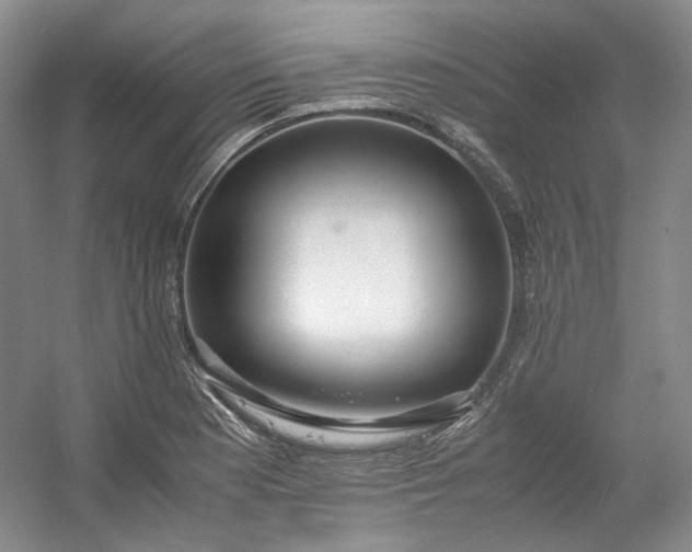 X0000053071177200507251452