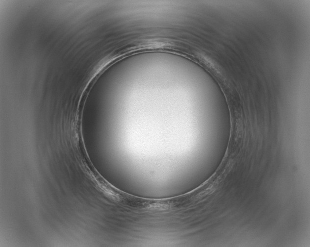 X0000053071178200507251452