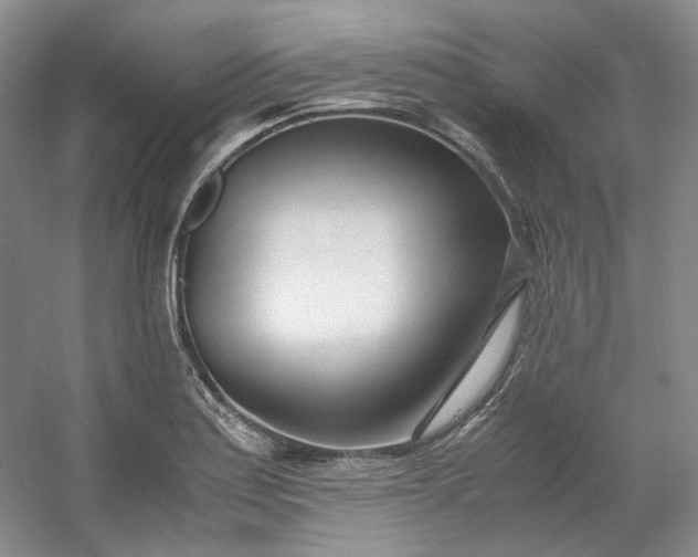 X0000053071179200507251452