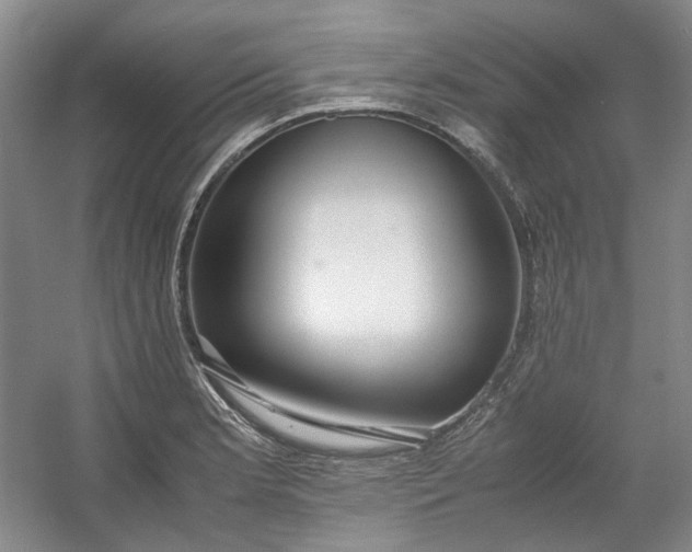 X0000053071181200507251451