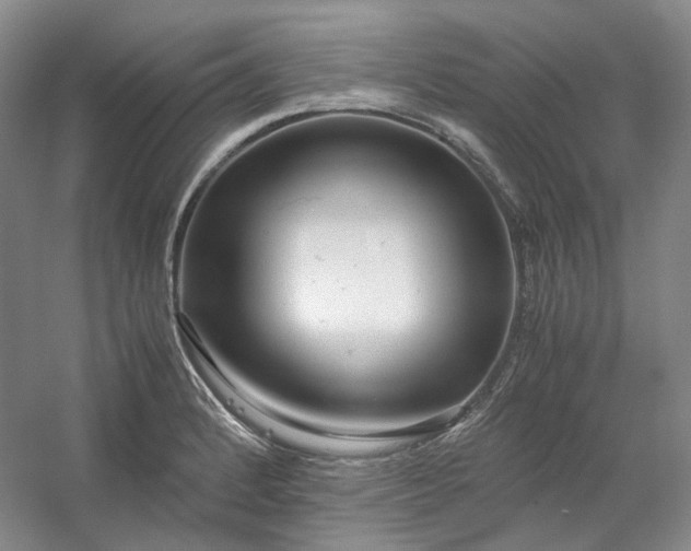 X0000053071184200507251451