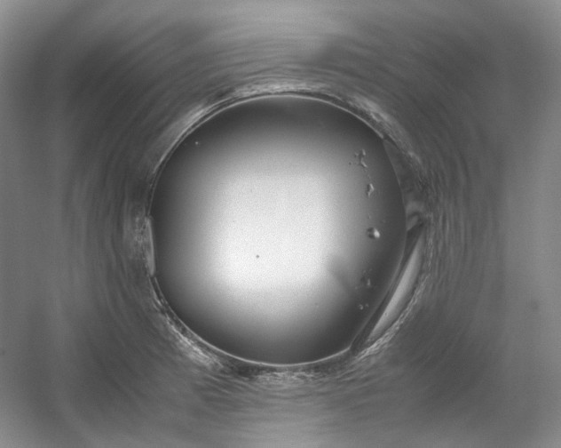 X0000053071185200507251451