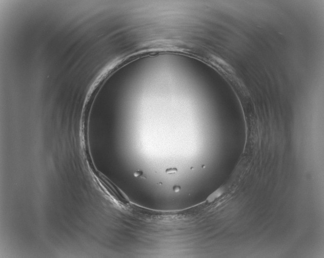 X0000053071188200507251451