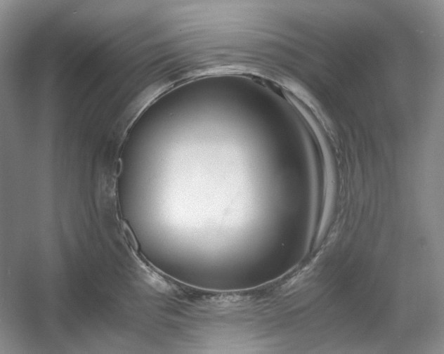 X0000053071193200507251451