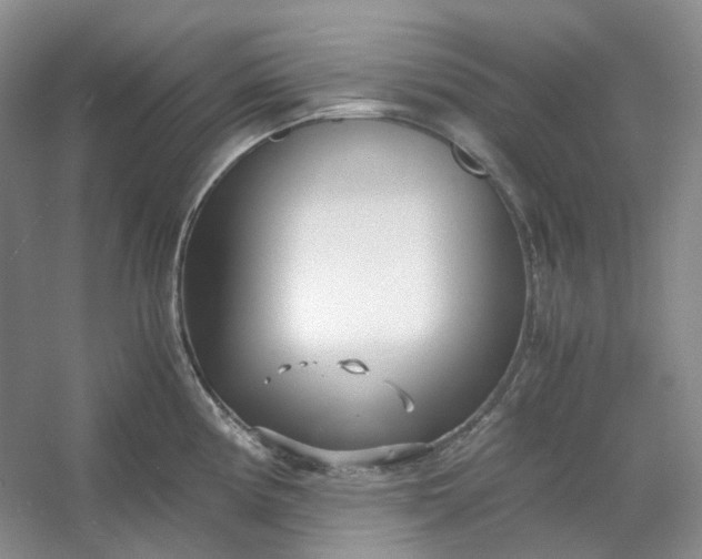 X0000053071194200507251451