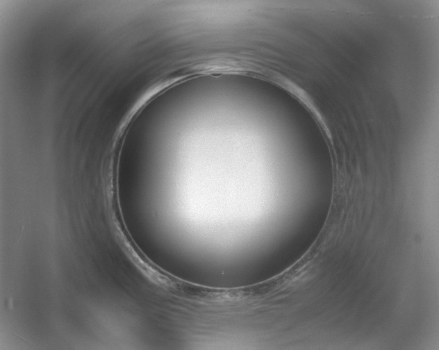 X0000053071195200507251451