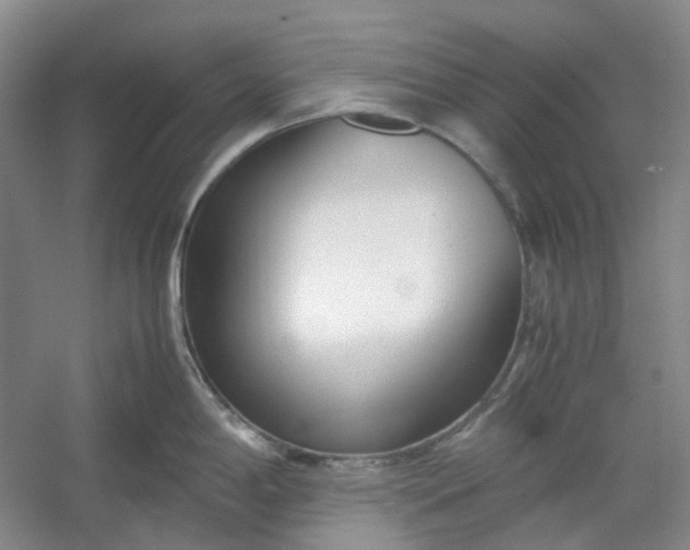 X0000053071198200507251451