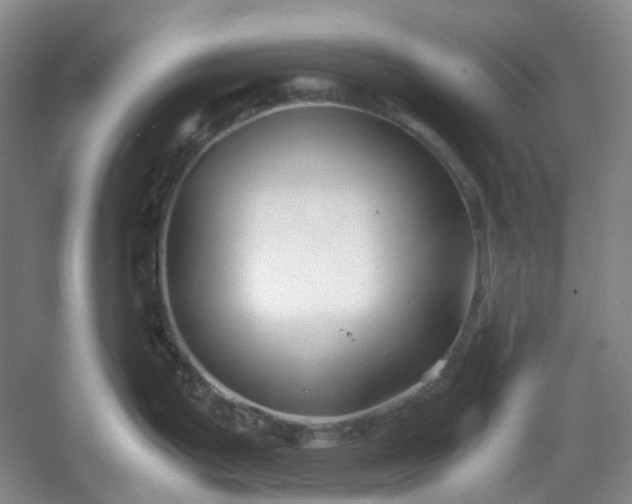 X0000053071199200507251451