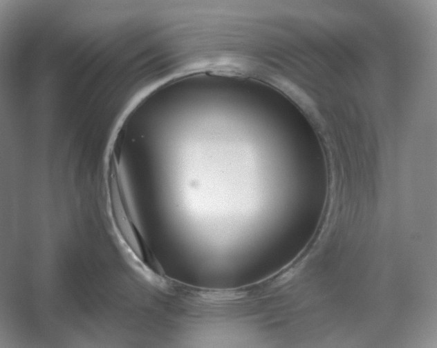 X0000053071200200507251451