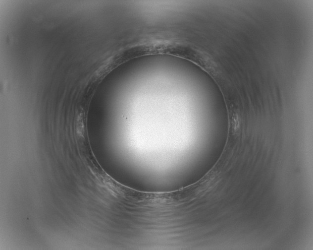 X0000053071204200507251450