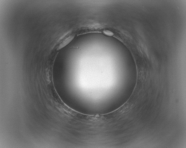 X0000053071205200507251450