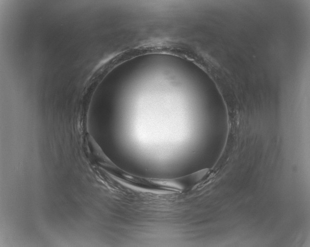 X0000053071206200507251450