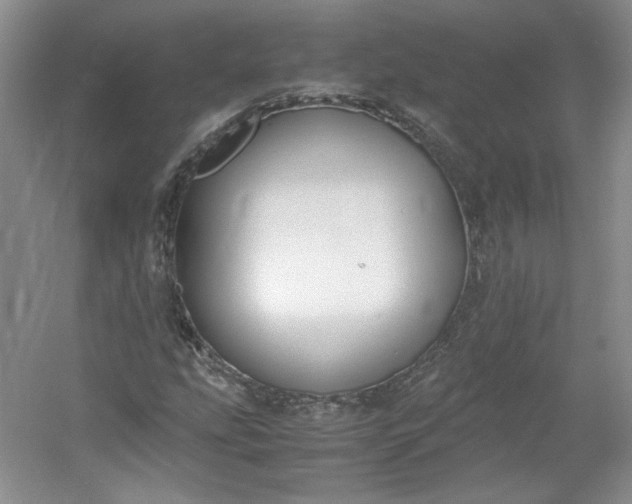 X0000053071207200507251450