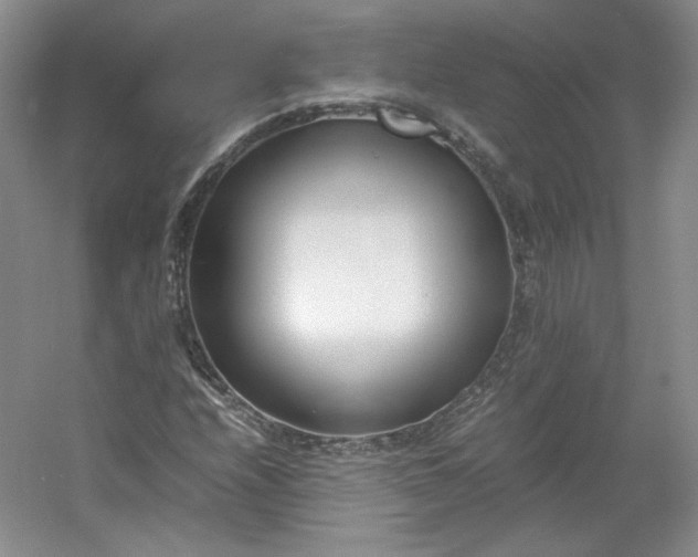 X0000053071208200507251450