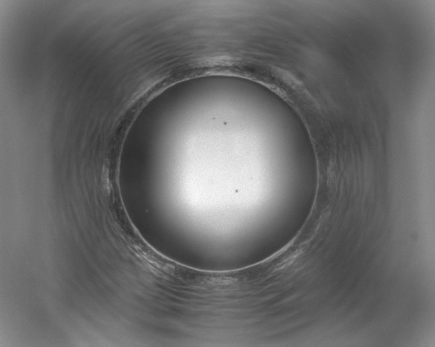 X0000053071209200507251450