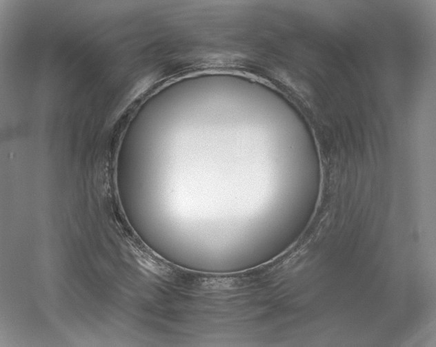 X0000053071211200507251451