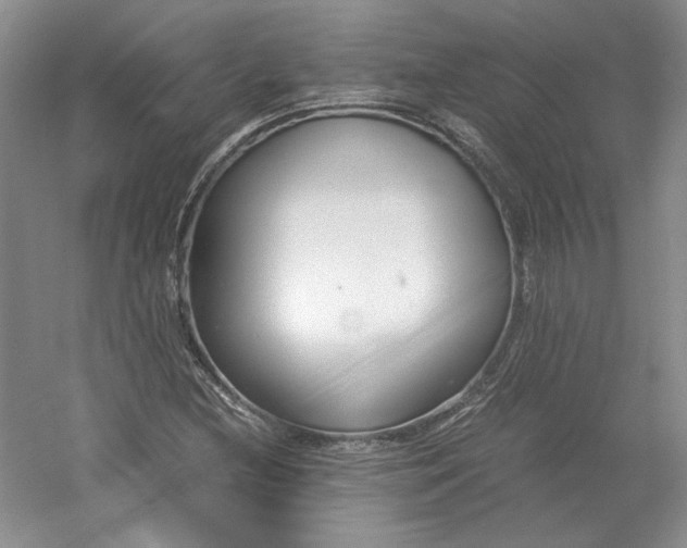 X0000053071212200507251451