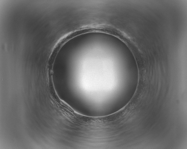 X0000053071214200507251451