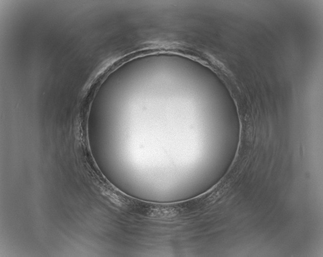 X0000053071215200507251451