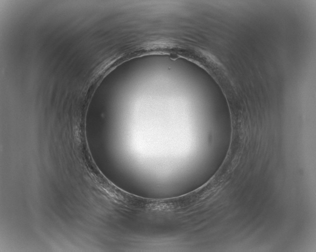 X0000053071217200507251451