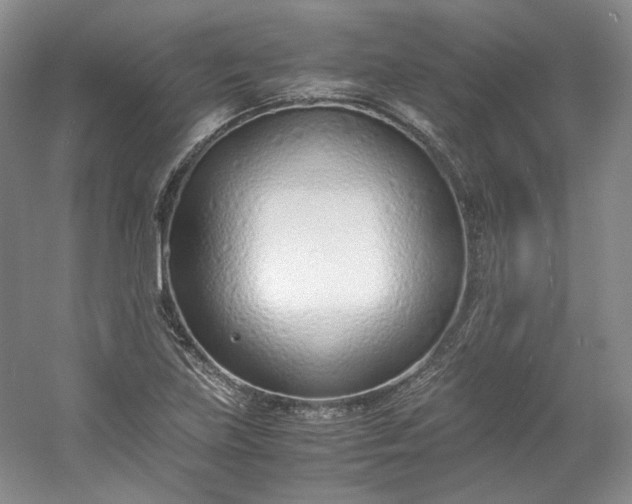 X0000053071219200507251451