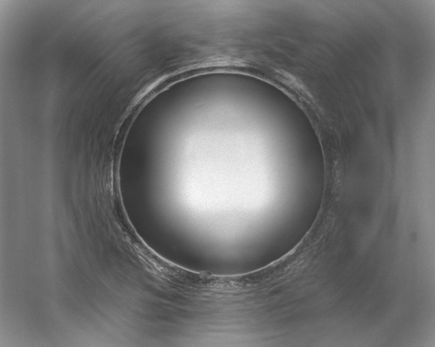 X0000053071220200507251451