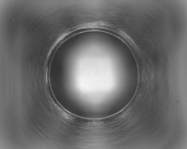 X0000053071224200507251451