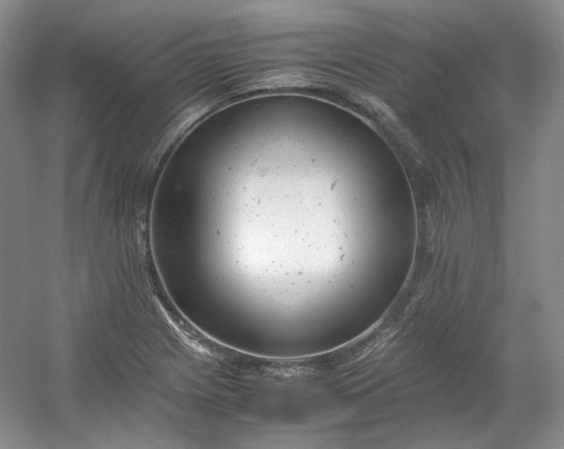 X0000053071225200507251451