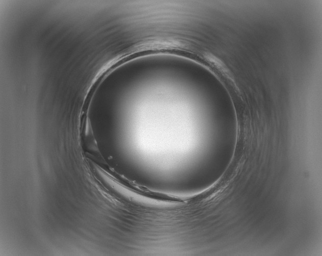 X0000053071226200507251451