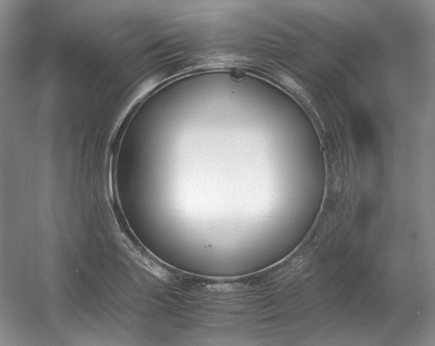 X0000053071227200507251451