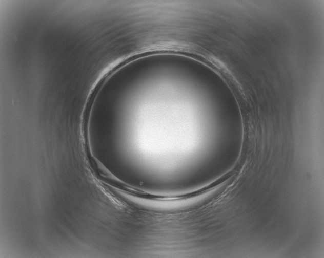 X0000053071230200507251451