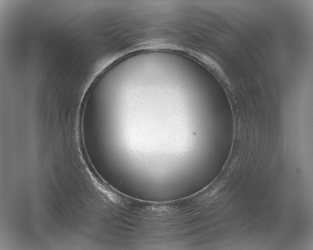 X0000053071231200507251451