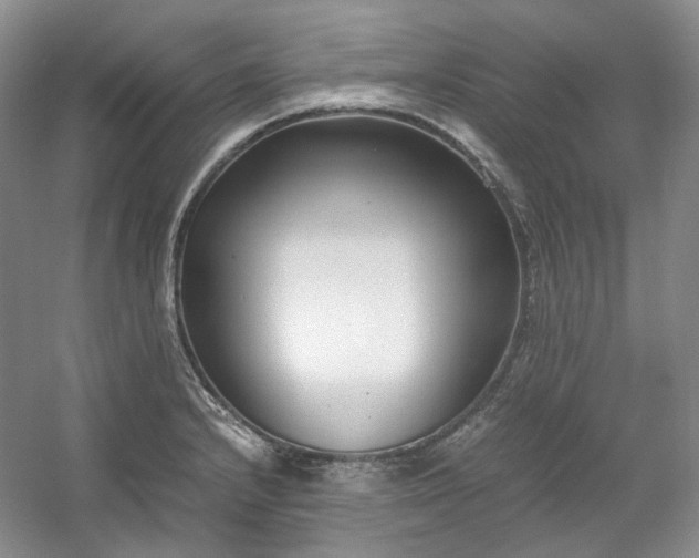 X0000053071232200507251451