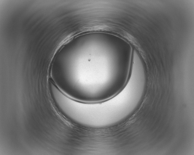 X0000053071234200507251451