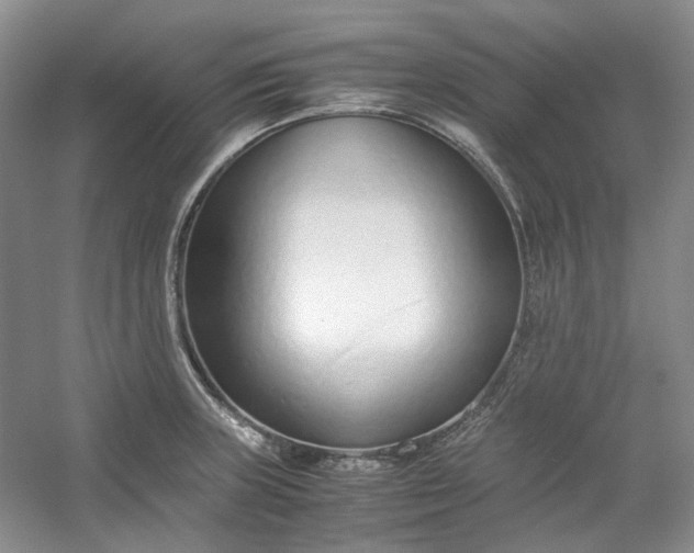 X0000053071235200507251451