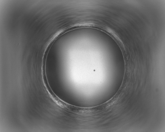 X0000053071237200507251451